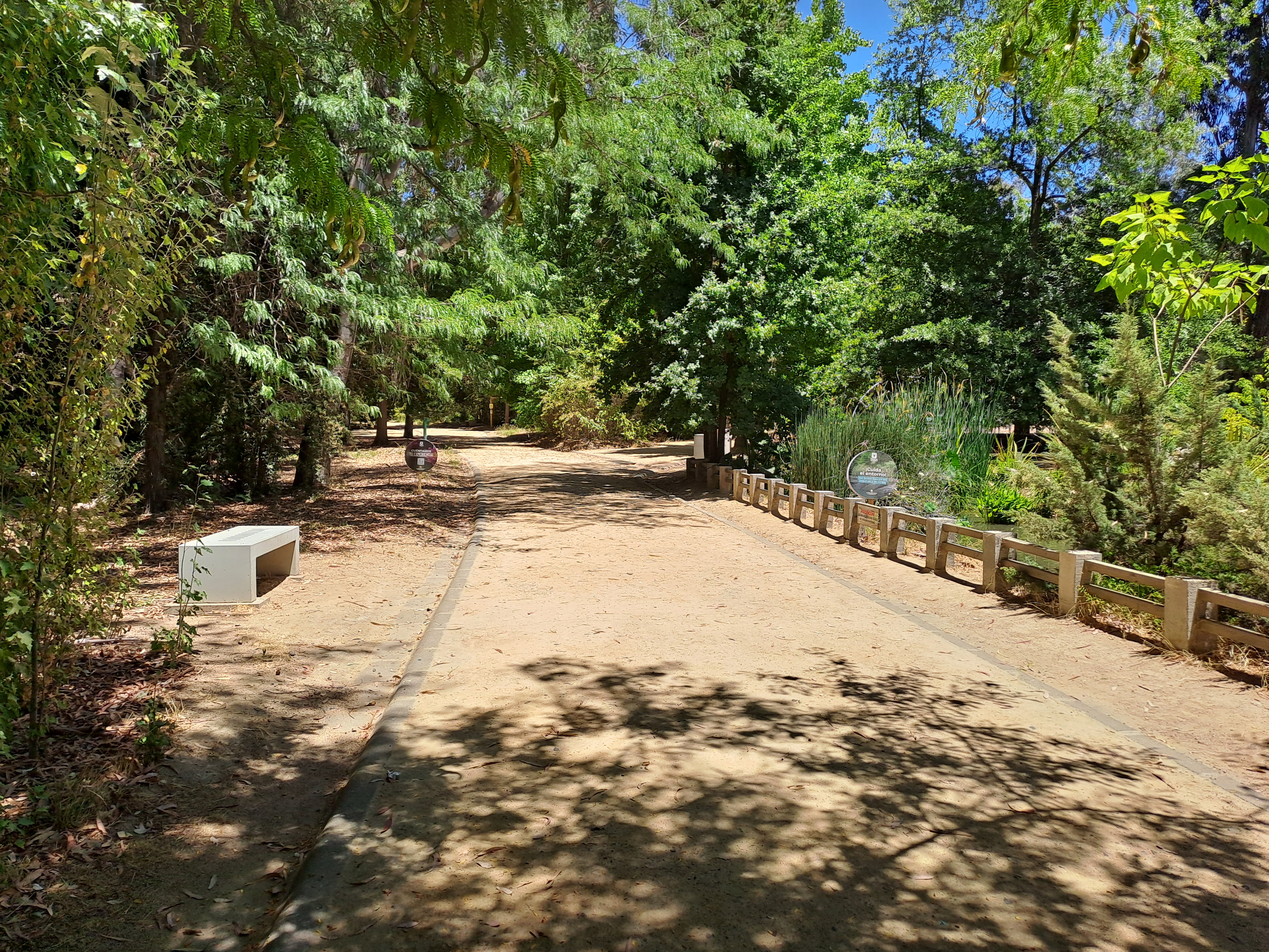Fotografía del sendero plano, se encuentra al lado de vegetación y hay sombra